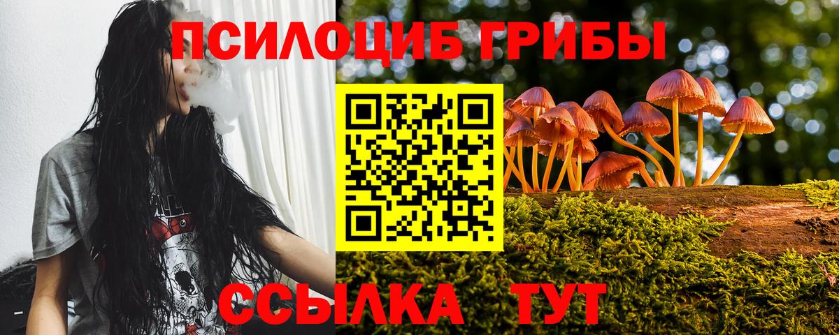 Галлюциногенные грибы Psilocybe  Вход с VPN  купить  цена  Керчь 